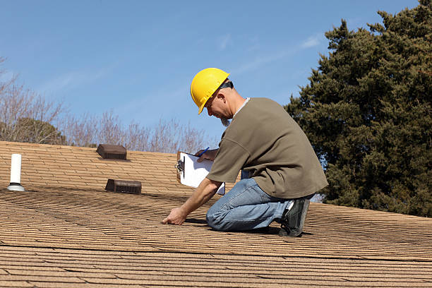 Best Skylights  in Bement, IL